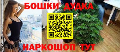 индика Ликино-Дулёво