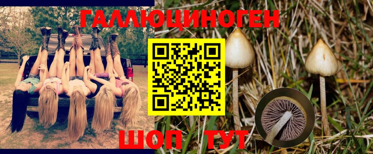 Галлюциногенные грибы прущие грибы Уварово