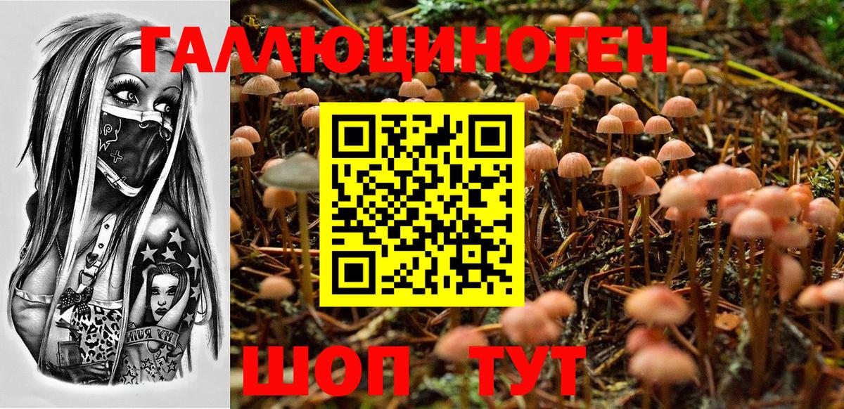 Уварово  Псилоцибиновые грибы ЛСД  Вход с VPN 
